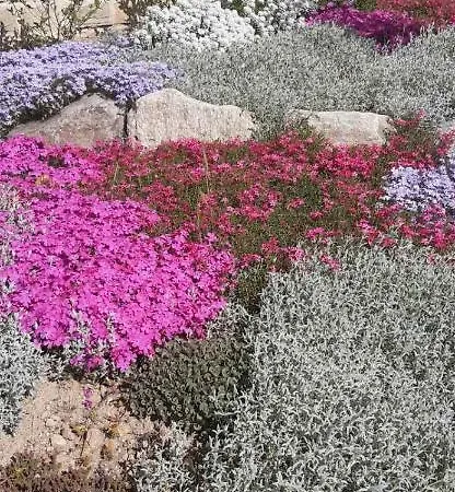 Nyaraló комплекс омайник Kalofer