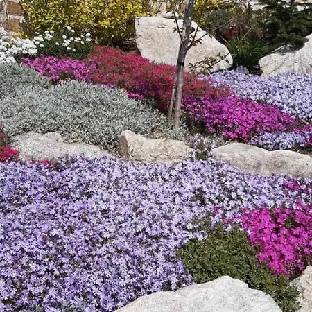 펜션 комплекс омайник