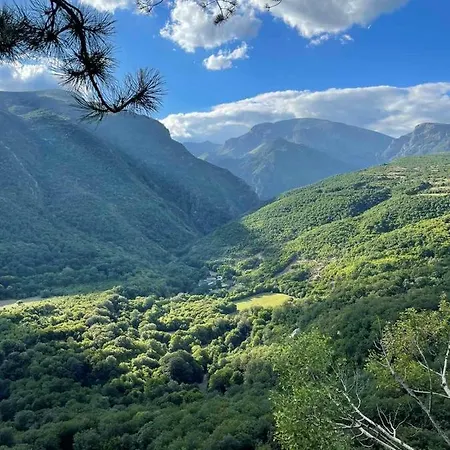 комплекс омайник 卡洛费尔