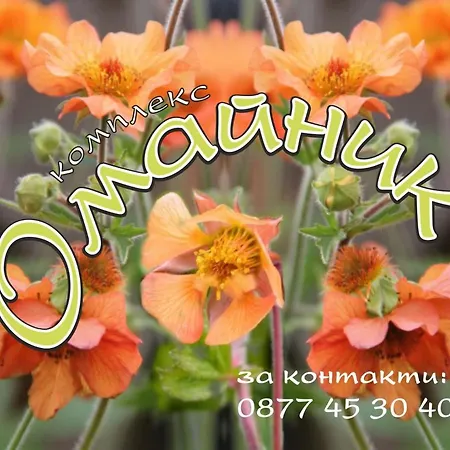 Hébergement de vacances комплекс омайник Kalofer