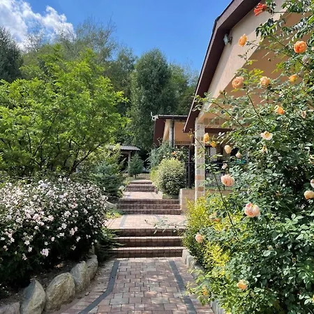 комплекс омайник * 칼로페르