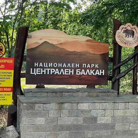 комплекс омайник 펜션