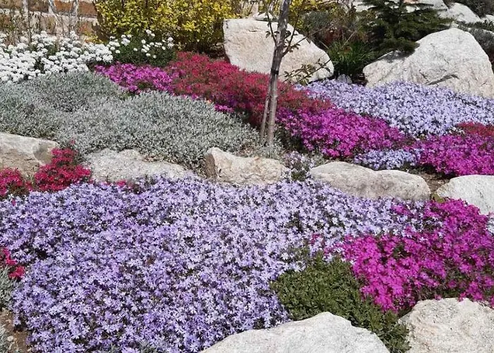 Ваканционна къща комплекс омайник