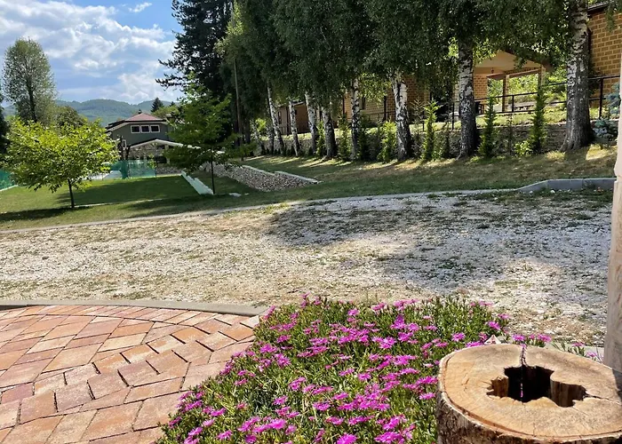 комплекс омайник *